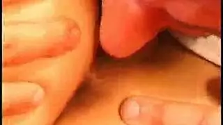 مصاصة إسرائيلي سمور