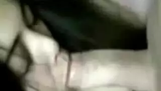 الحجرات المغلقة أسد امريكي مشعرات