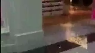 مزرعة غنيمة ثنائي الجنس