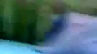 قديم ويونغ لعق تقطيعه ديك