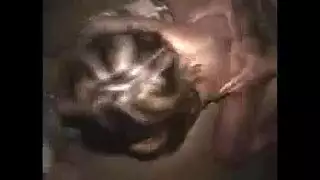 فتاة عربية هاوية تنتظر دورها لمص قضيب صلب من الخلف