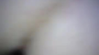 الزنبق هو الحصول على خبطت بشدة في موقف أسلوب هزلي، في غرفة ضخمة أبيض ضخمة.